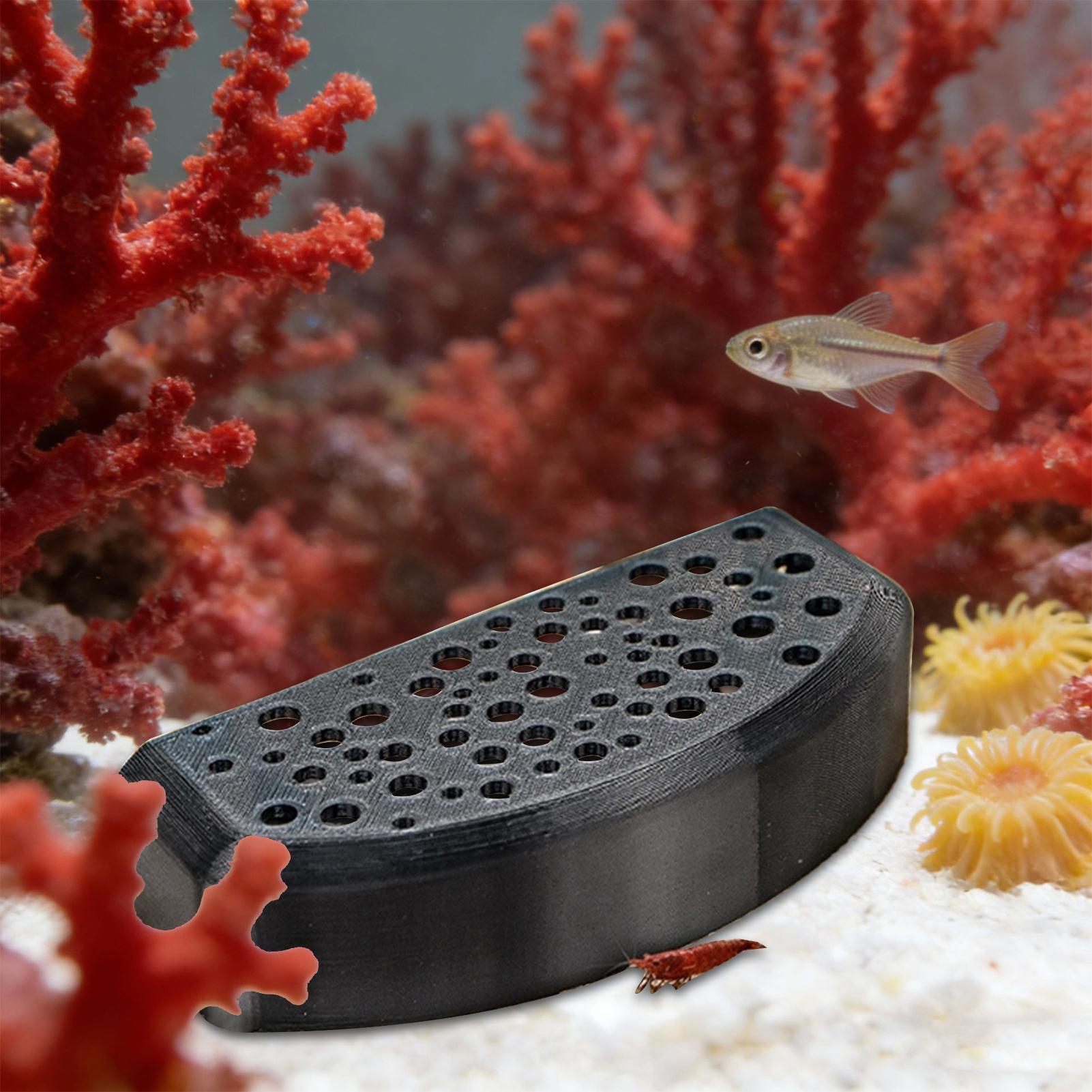 Ornamento Aquático para Descan - Aquatic Zone avaliação e preço